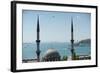 A Mosque in Istanbul of Turkey-null-Framed Photo