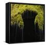 A Moss Covered Waterfall in the Bavarian Allg?U-Micha Pawlitzki-Framed Stretched Canvas