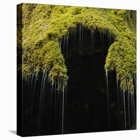 A Moss Covered Waterfall in the Bavarian Allg?U-Micha Pawlitzki-Stretched Canvas