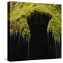 A Moss Covered Waterfall in the Bavarian Allg?U-Micha Pawlitzki-Stretched Canvas