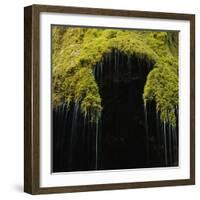 A Moss Covered Waterfall in the Bavarian Allg?U-Micha Pawlitzki-Framed Photographic Print