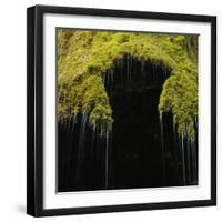 A Moss Covered Waterfall in the Bavarian Allg?U-Micha Pawlitzki-Framed Photographic Print