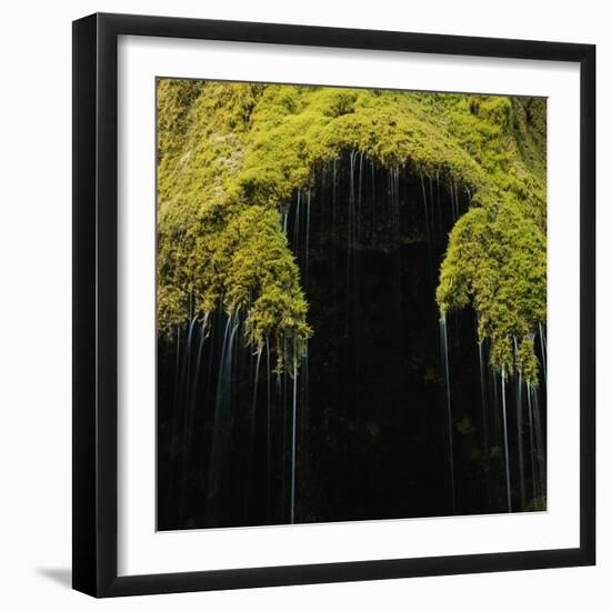 A Moss Covered Waterfall in the Bavarian Allg?U-Micha Pawlitzki-Framed Photographic Print