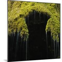 A Moss Covered Waterfall in the Bavarian Allg?U-Micha Pawlitzki-Mounted Photographic Print