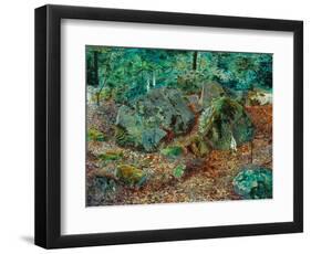 A Mossy Glen, 1864-John Atkinson Grimshaw-Framed Giclee Print