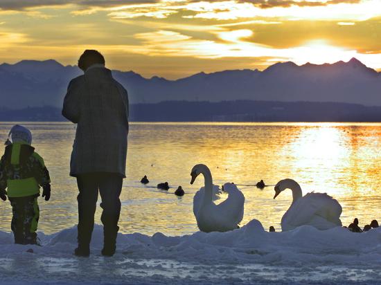 Premium Photographic Print, , large