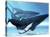 A Mother Humpback Whale Is Escorted by Another Whale And Her Baby Calf-Stocktrek Images-Stretched Canvas