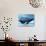 A Mother Humpback Whale Is Escorted by Another Whale And Her Baby Calf-Stocktrek Images-Photographic Print displayed on a wall