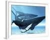 A Mother Humpback Whale Is Escorted by Another Whale And Her Baby Calf-Stocktrek Images-Framed Photographic Print