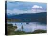 A Mother Moose Feeding in Wonder Lake-Howard Newcomb-Stretched Canvas