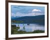 A Mother Moose Feeding in Wonder Lake-Howard Newcomb-Framed Photographic Print