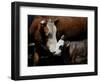 A Mother’s Love-Barry Hart-Framed Giclee Print