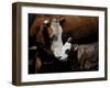 A Mother’s Love-Barry Hart-Framed Giclee Print