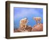 A Mother's Smile-David Scarbrough-Framed Photographic Print