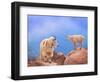 A Mother's Smile-David Scarbrough-Framed Photographic Print