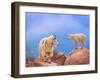 A Mother's Smile-David Scarbrough-Framed Photographic Print