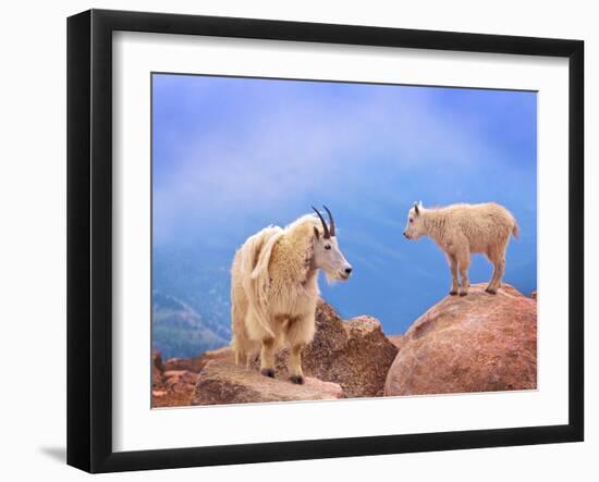 A Mother's Smile-David Scarbrough-Framed Photographic Print