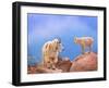 A Mother's Smile-David Scarbrough-Framed Photographic Print