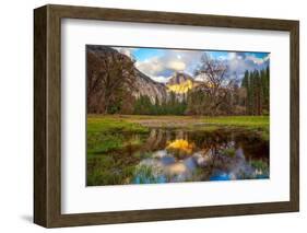 A Mother's Tree-Dave Gordon-Framed Photographic Print