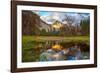 A Mother's Tree-Dave Gordon-Framed Photographic Print