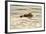 A Mother Sea Otter Swims on Her Back as Her Baby Rests on Her Stomach in Alaskan Waters-John Alves-Framed Photographic Print