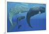 A Mother Sperm Whale with Calf Is Visited by an Interested Male-null-Framed Art Print