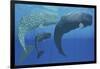 A Mother Sperm Whale with Calf Is Visited by an Interested Male-null-Framed Art Print