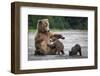 A Mothers Love-Renee Doyle-Framed Photographic Print