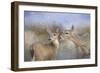 A Mothers Love-Jai Johnson-Framed Giclee Print