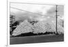 A Mountain of Oyster Shells View - South Bend, WA-Lantern Press-Framed Premium Giclee Print