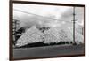 A Mountain of Oyster Shells View - South Bend, WA-Lantern Press-Framed Premium Giclee Print