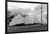 A Mountain of Oyster Shells View - South Bend, WA-Lantern Press-Framed Premium Giclee Print