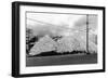 A Mountain of Oyster Shells View - South Bend, WA-Lantern Press-Framed Art Print