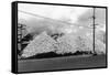 A Mountain of Oyster Shells View - South Bend, WA-Lantern Press-Framed Stretched Canvas