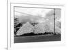 A Mountain of Oyster Shells View - South Bend, WA-Lantern Press-Framed Art Print