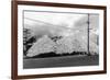 A Mountain of Oyster Shells View - South Bend, WA-Lantern Press-Framed Art Print