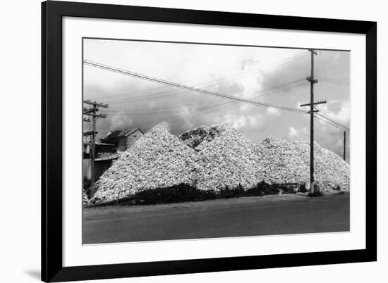 A Mountain of Oyster Shells View - South Bend, WA-Lantern Press-Framed Art Print