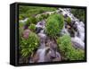 A Mountain Stream Within the Indian Peaks Wilderness Area Near Rocky Mountain National Park, Co-Ryan Wright-Framed Stretched Canvas