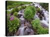 A Mountain Stream Within the Indian Peaks Wilderness Area Near Rocky Mountain National Park, Co-Ryan Wright-Stretched Canvas