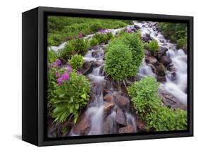 A Mountain Stream Within the Indian Peaks Wilderness Area Near Rocky Mountain National Park, Co-Ryan Wright-Framed Stretched Canvas