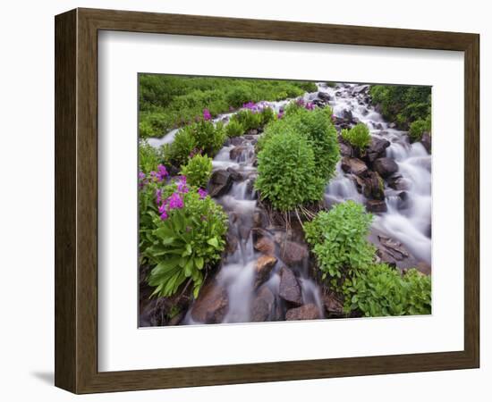 A Mountain Stream Within the Indian Peaks Wilderness Area Near Rocky Mountain National Park, Co-Ryan Wright-Framed Photographic Print