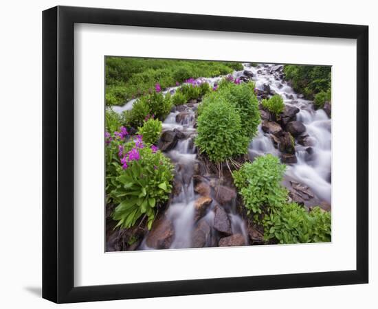 A Mountain Stream Within the Indian Peaks Wilderness Area Near Rocky Mountain National Park, Co-Ryan Wright-Framed Photographic Print