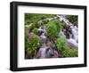 A Mountain Stream Within the Indian Peaks Wilderness Area Near Rocky Mountain National Park, Co-Ryan Wright-Framed Photographic Print