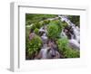 A Mountain Stream Within the Indian Peaks Wilderness Area Near Rocky Mountain National Park, Co-Ryan Wright-Framed Photographic Print