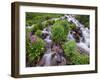 A Mountain Stream Within the Indian Peaks Wilderness Area Near Rocky Mountain National Park, Co-Ryan Wright-Framed Photographic Print