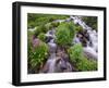 A Mountain Stream Within the Indian Peaks Wilderness Area Near Rocky Mountain National Park, Co-Ryan Wright-Framed Photographic Print