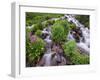 A Mountain Stream Within the Indian Peaks Wilderness Area Near Rocky Mountain National Park, Co-Ryan Wright-Framed Photographic Print