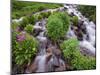 A Mountain Stream Within the Indian Peaks Wilderness Area Near Rocky Mountain National Park, Co-Ryan Wright-Mounted Photographic Print