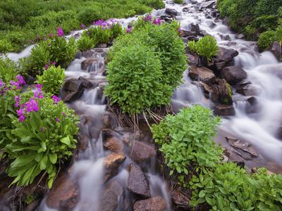 https://imgc.allpostersimages.com/img/posters/a-mountain-stream-within-the-indian-peaks-wilderness-area-near-rocky-mountain-national-park-co_u-L-Q10T37X0.jpg?artPerspective=n