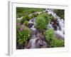 A Mountain Stream Within the Indian Peaks Wilderness Area Near Rocky Mountain National Park, Co-Ryan Wright-Framed Photographic Print